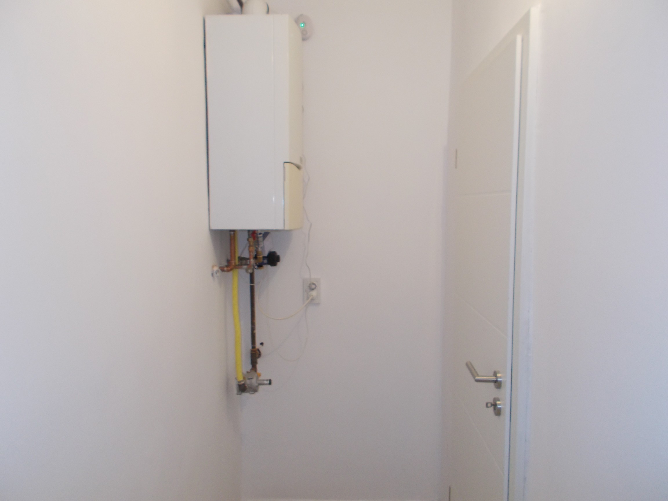 imobiliare timisoara