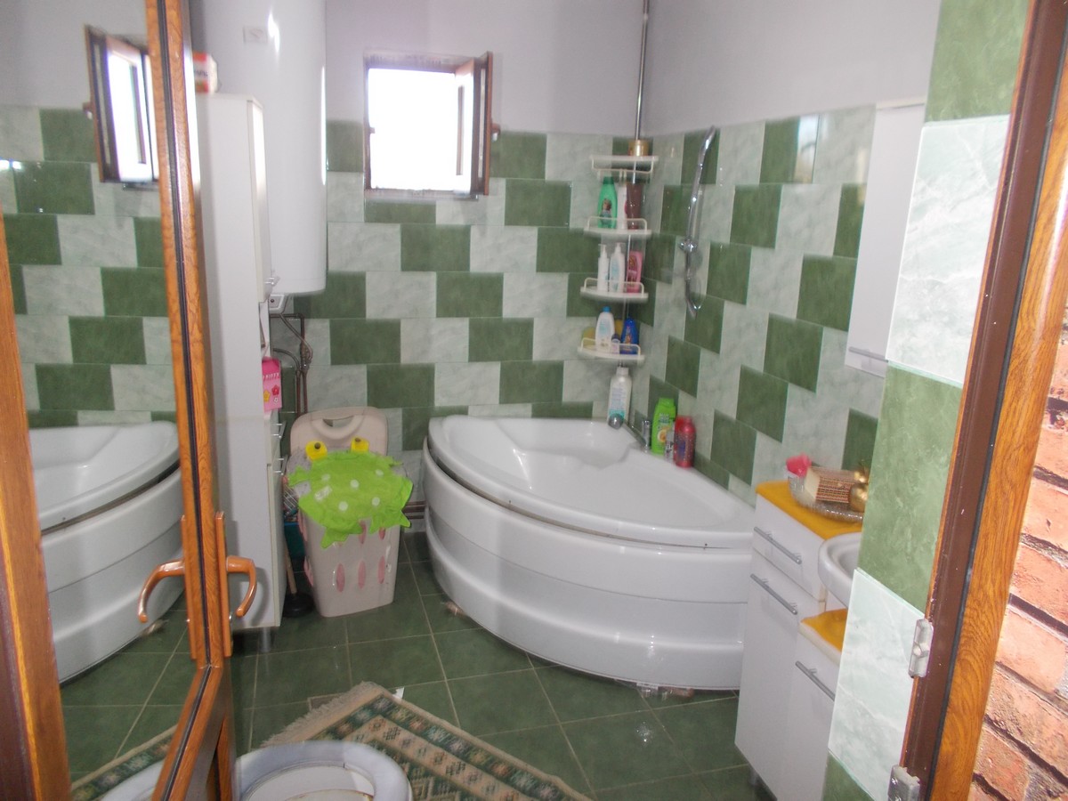 imobiliare timisoara