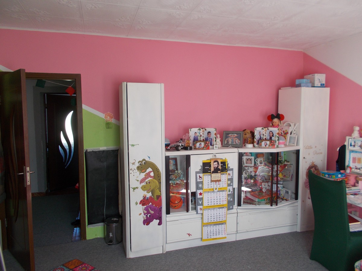 imobiliare timisoara