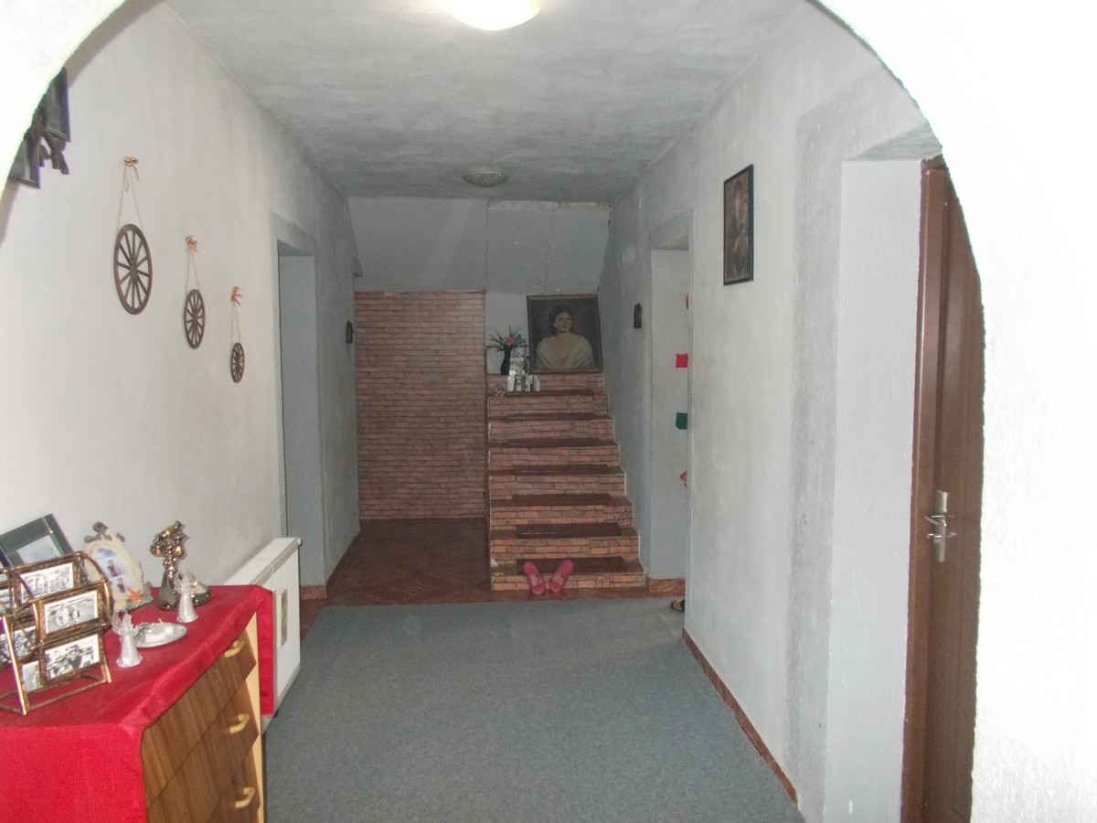 imobiliare timisoara