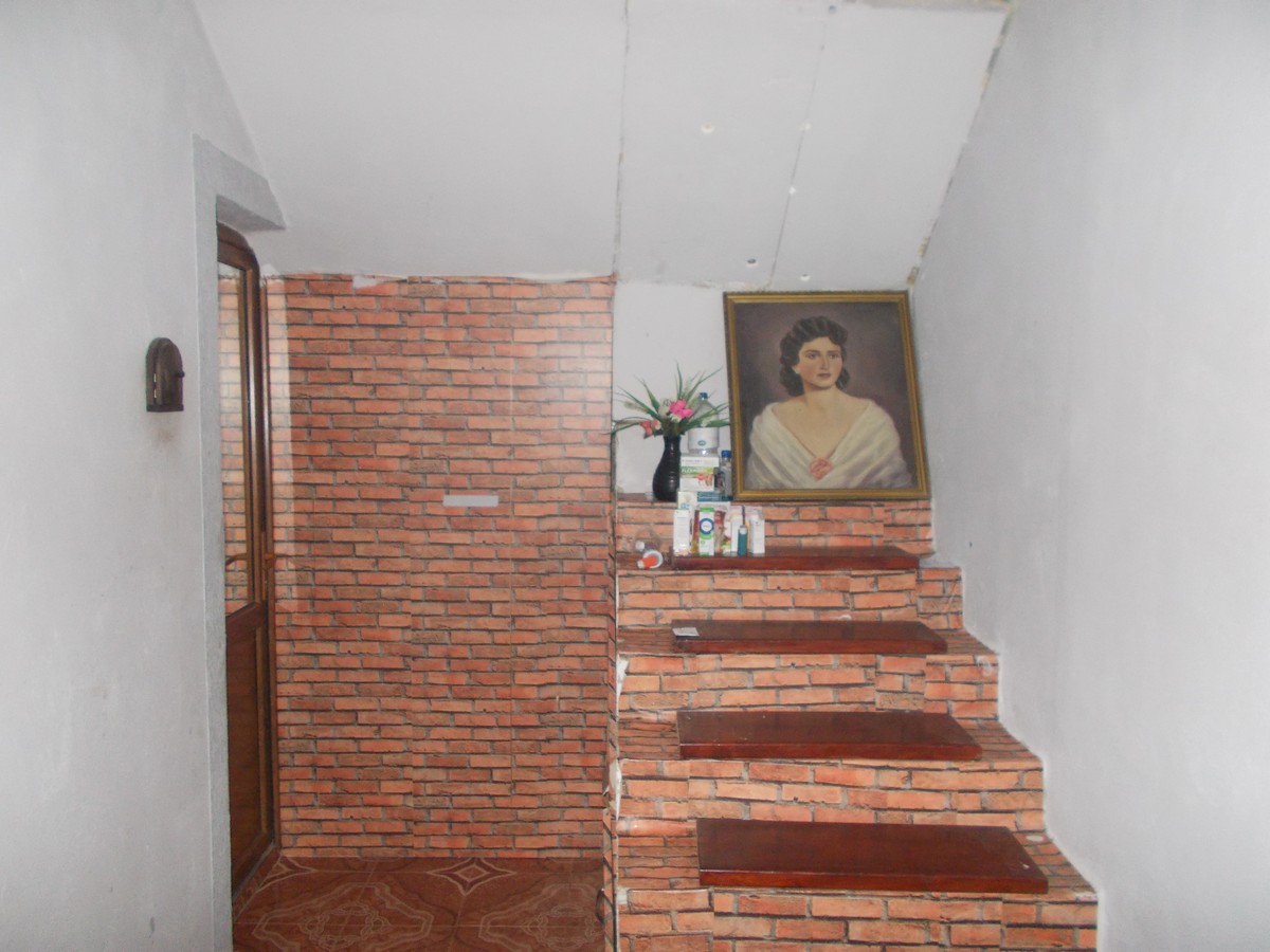 imobiliare timisoara