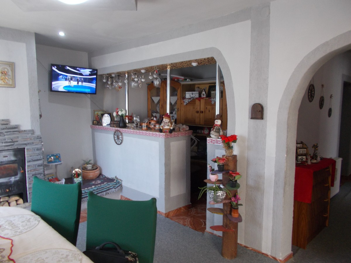 imobiliare timisoara