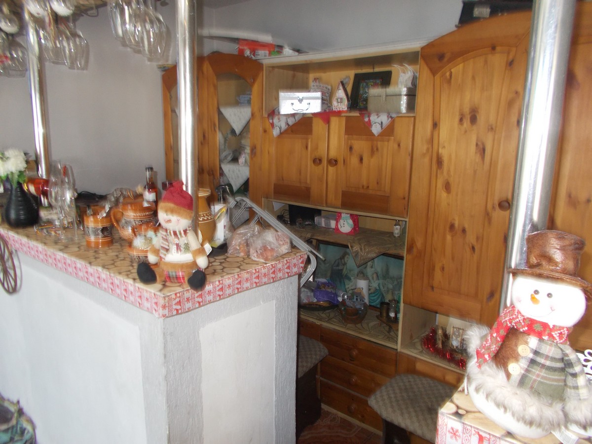 imobiliare timisoara