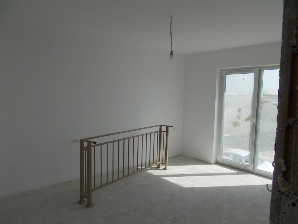 imobiliare timisoara