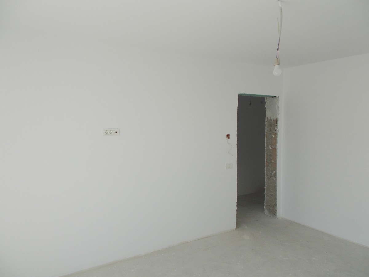 imobiliare timisoara