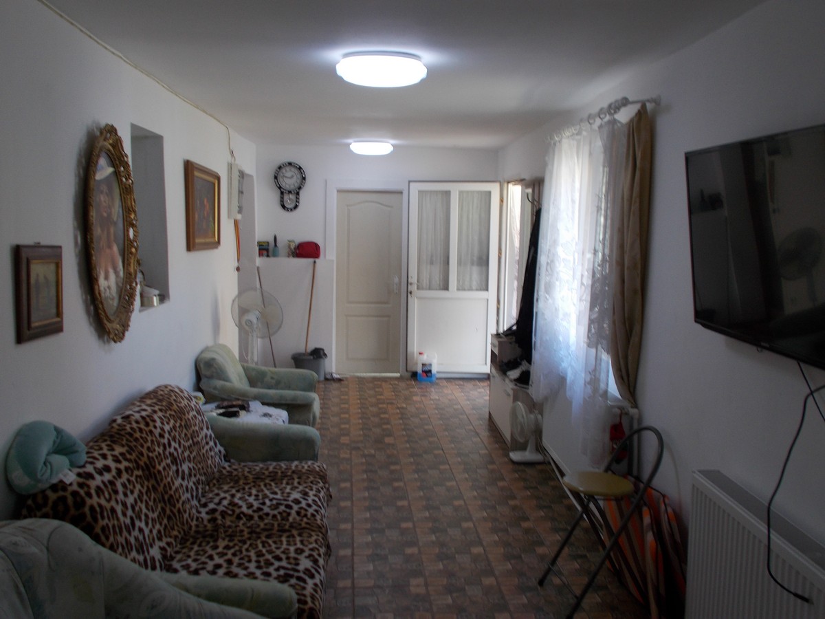 imobiliare timisoara