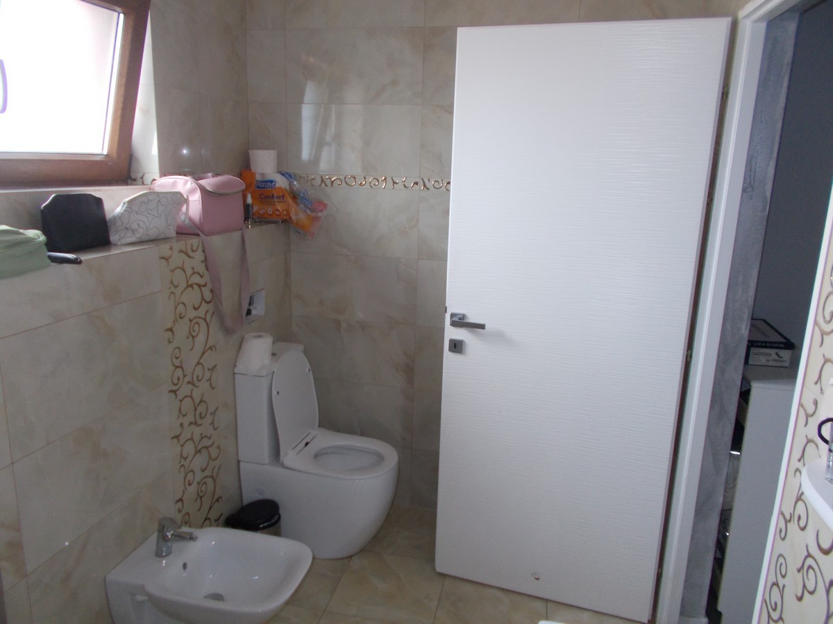 imobiliare timisoara