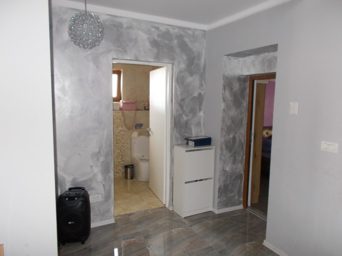 imobiliare timisoara