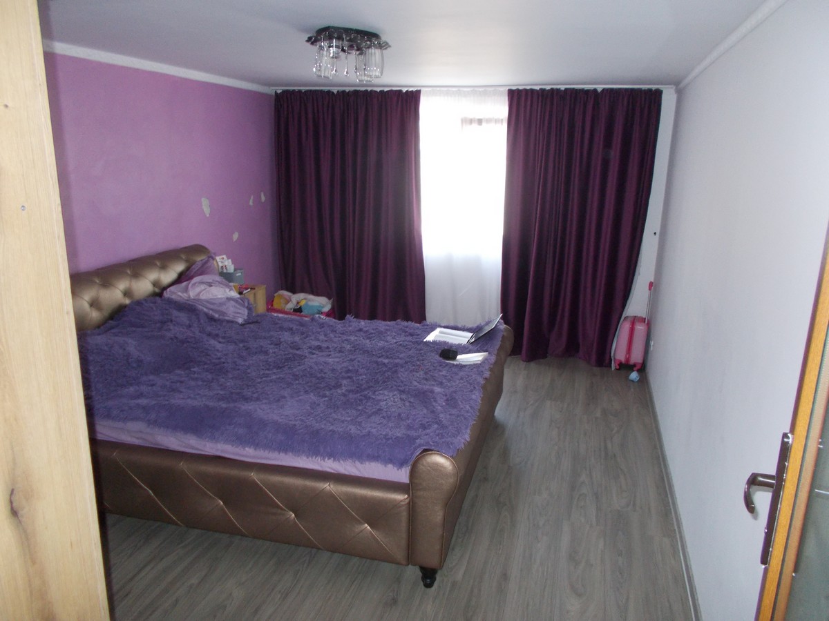 imobiliare timisoara