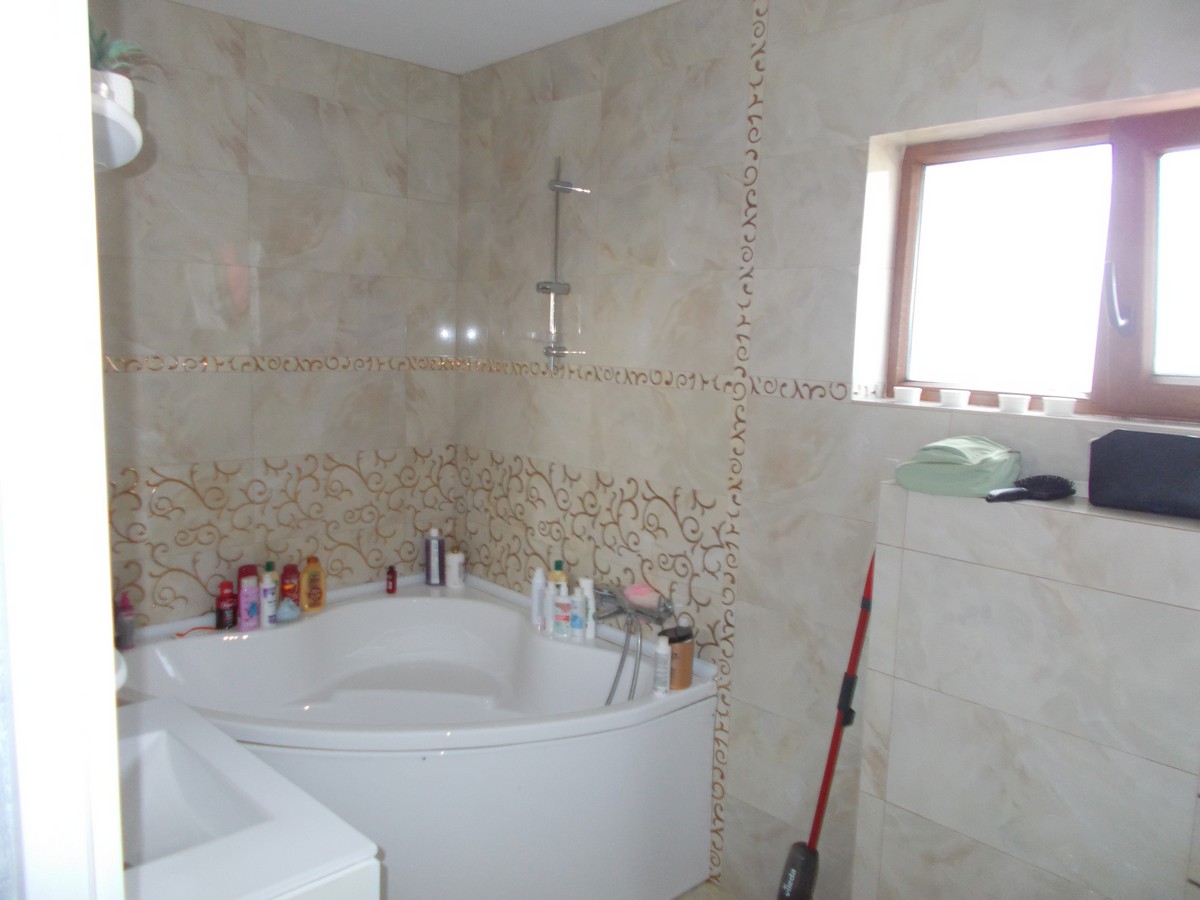 imobiliare timisoara