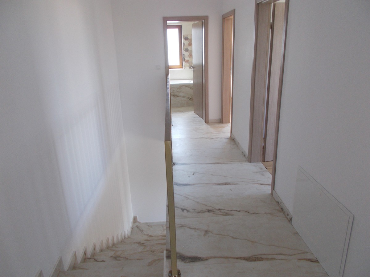 imobiliare timisoara