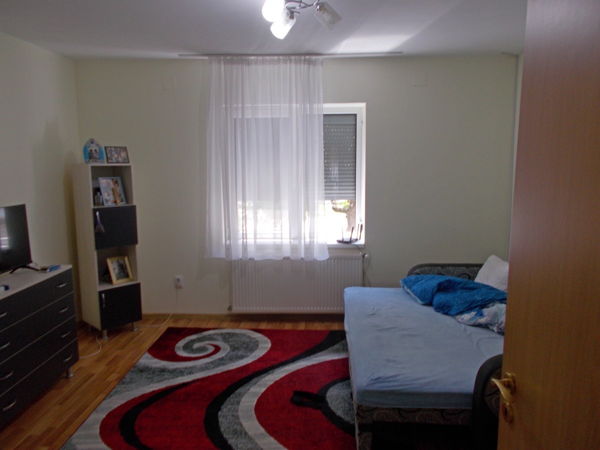 imobiliare timisoara
