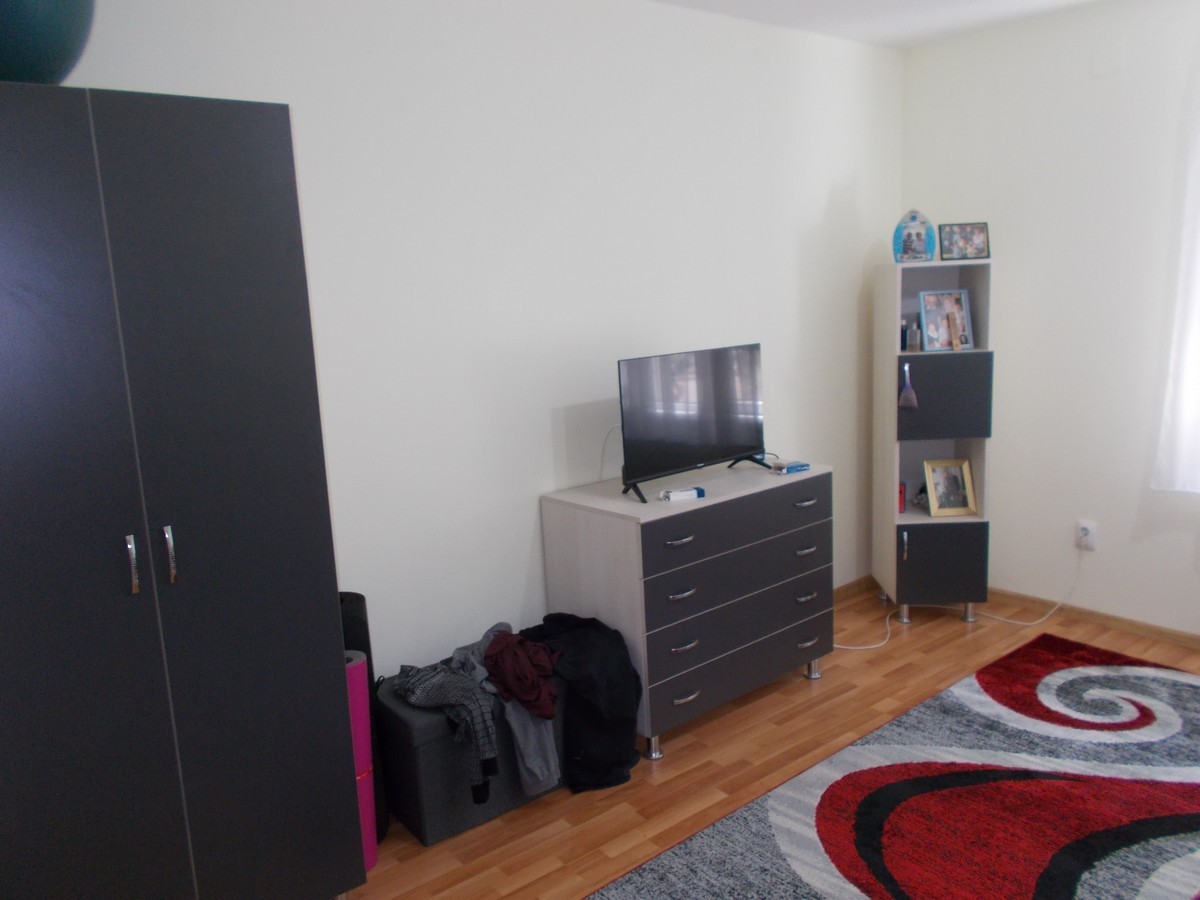 imobiliare timisoara
