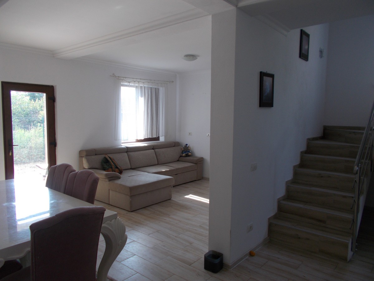 imobiliare timisoara