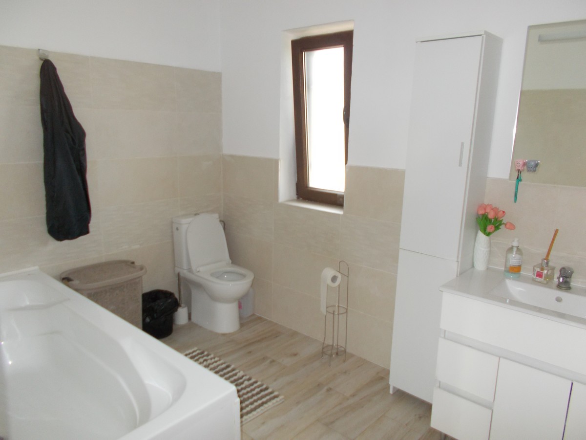 imobiliare timisoara