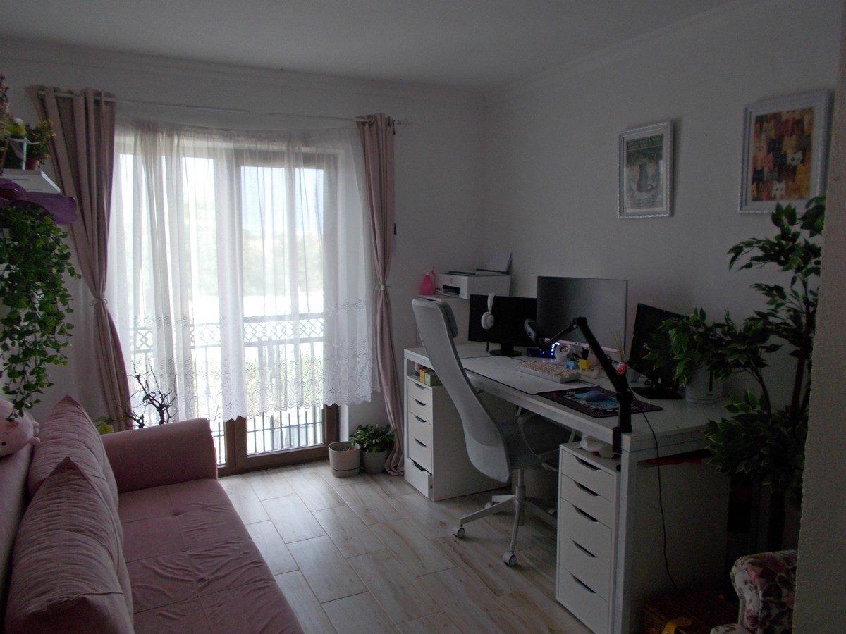 imobiliare timisoara