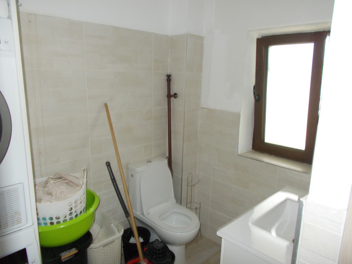 imobiliare timisoara