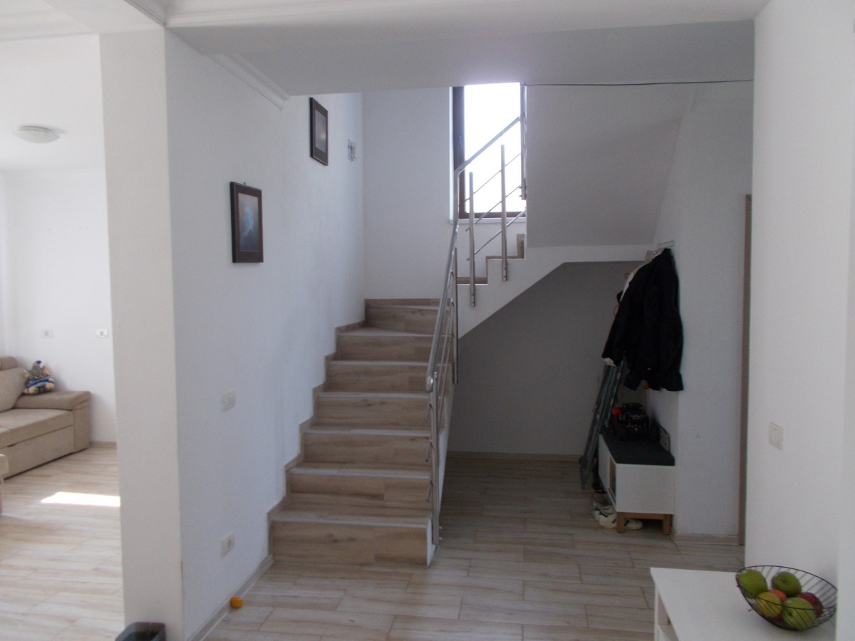 imobiliare timisoara