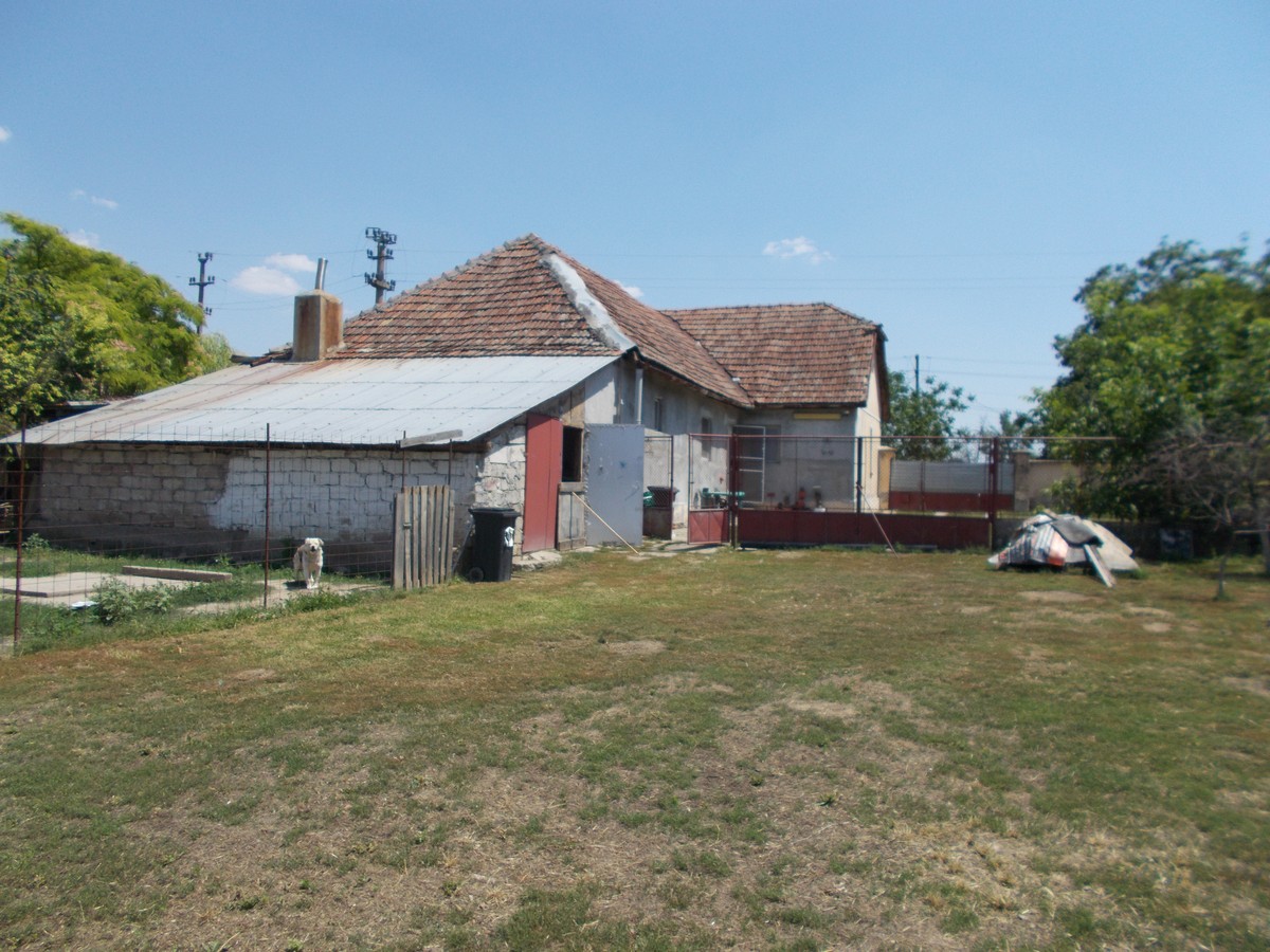 imobiliare timisoara