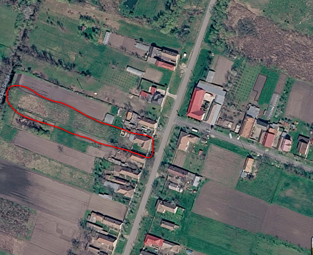 imobiliare timisoara