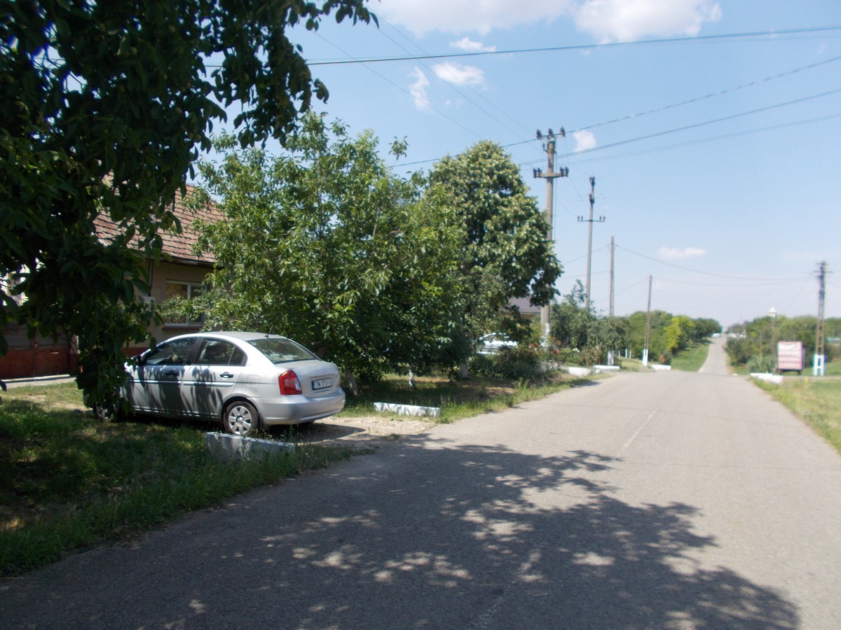 imobiliare timisoara
