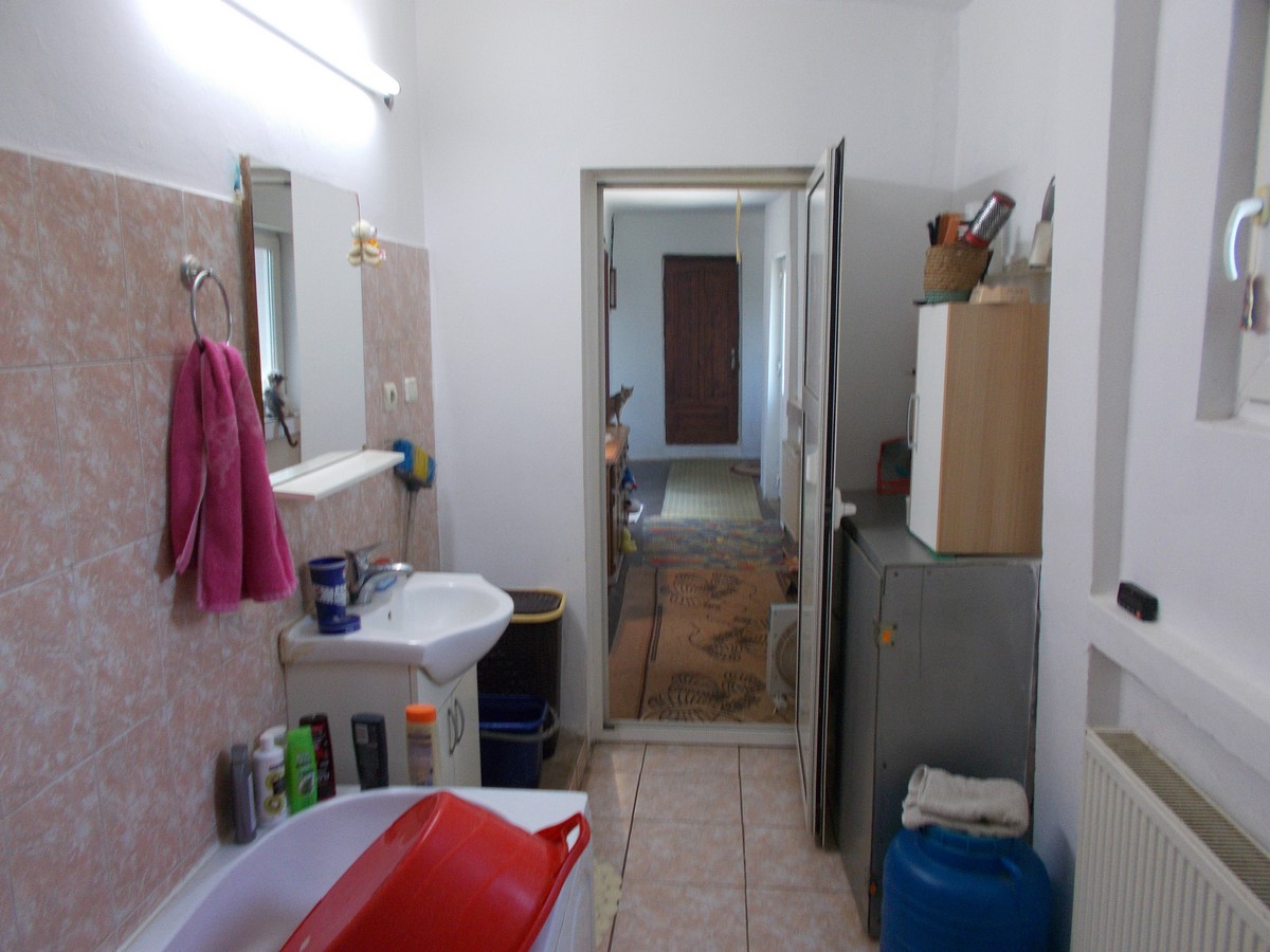 imobiliare timisoara