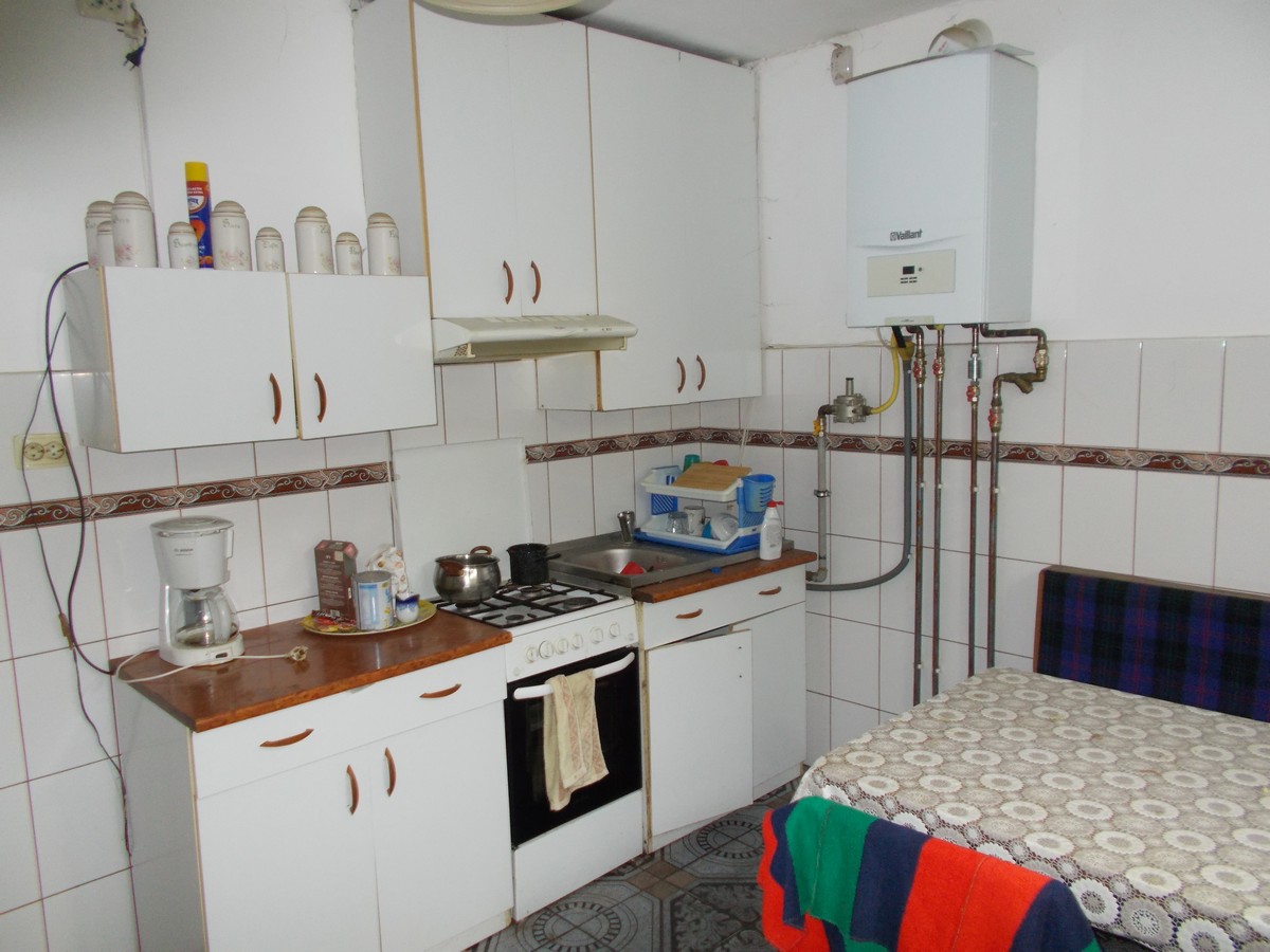 imobiliare timisoara