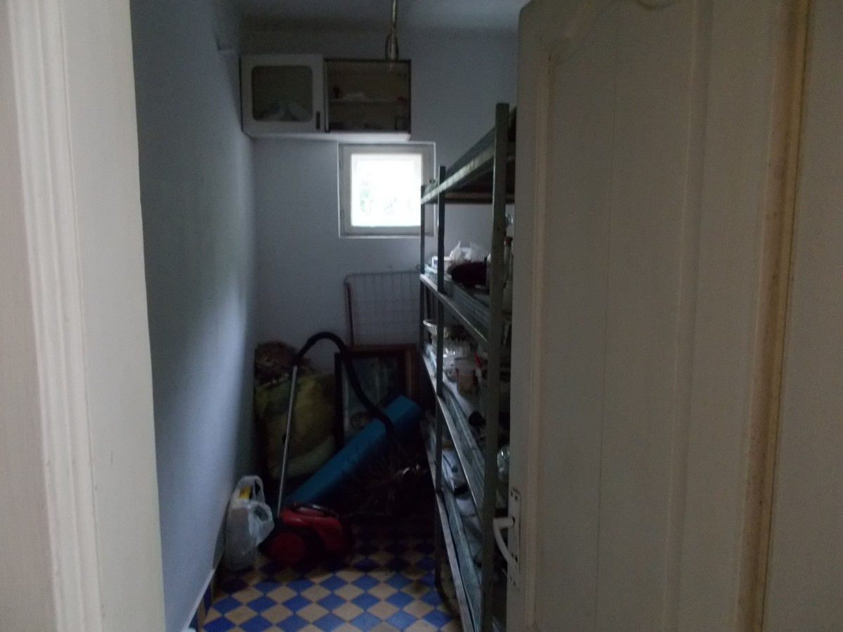 imobiliare timisoara