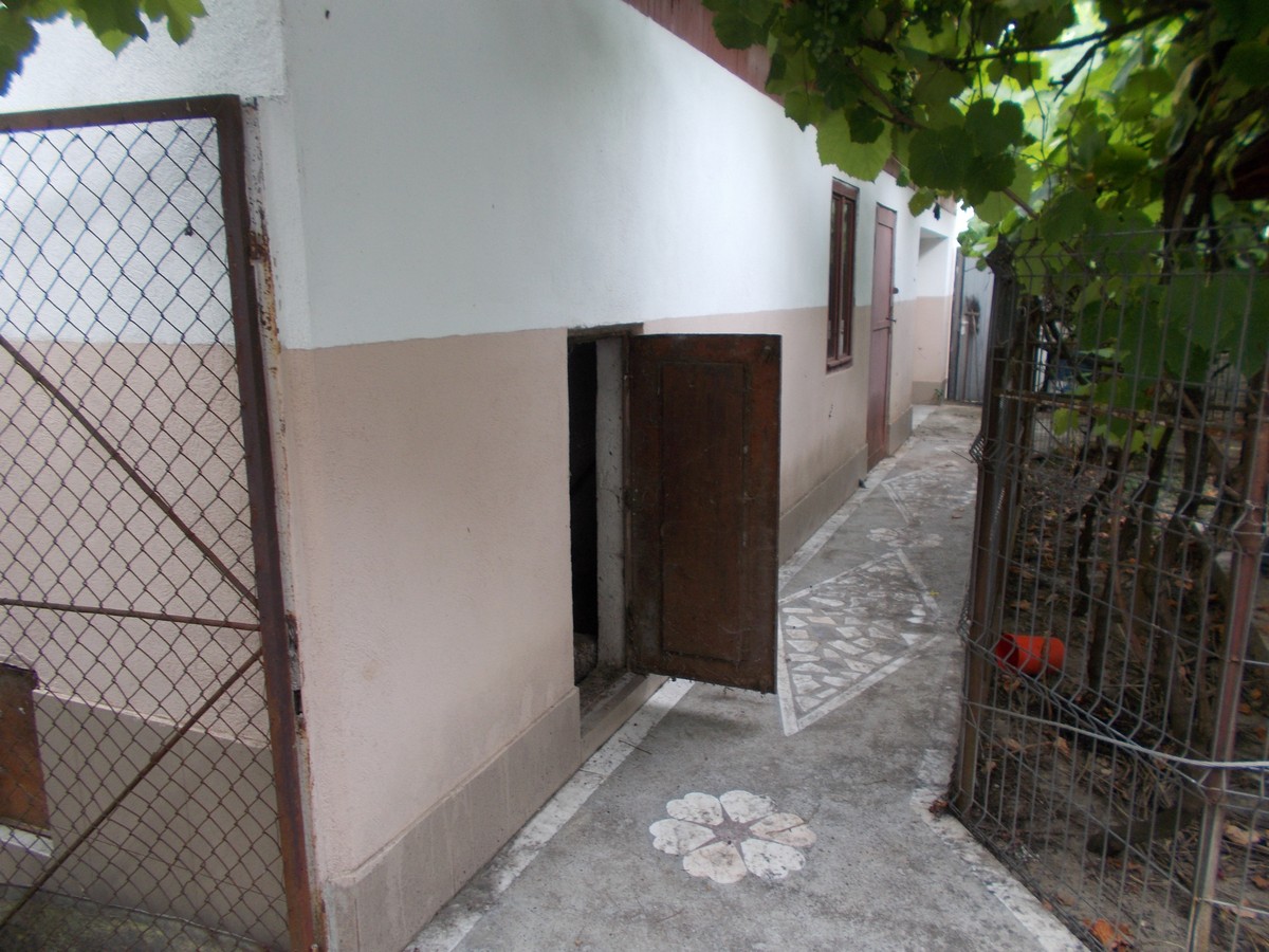 imobiliare timisoara