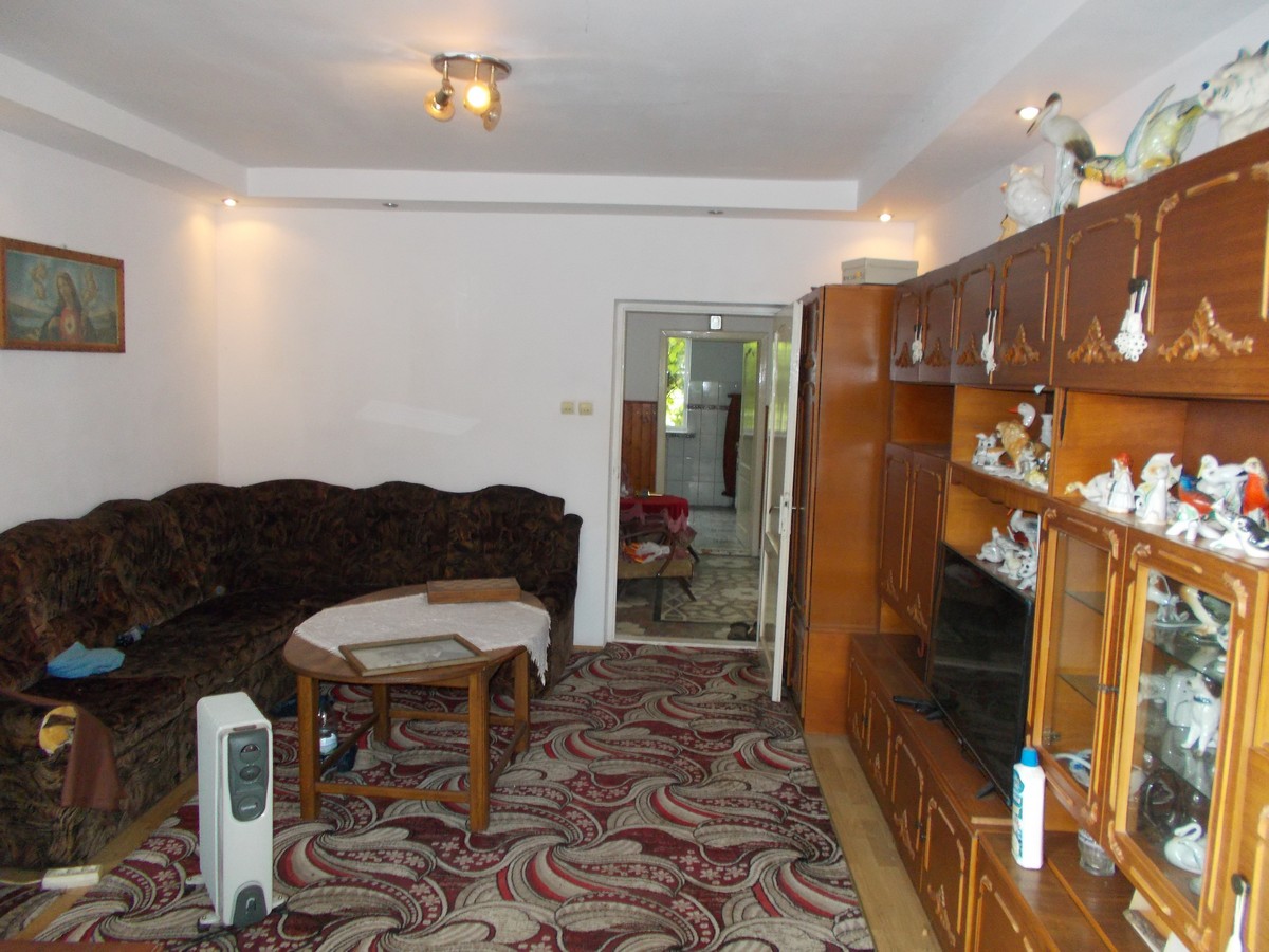 imobiliare timisoara
