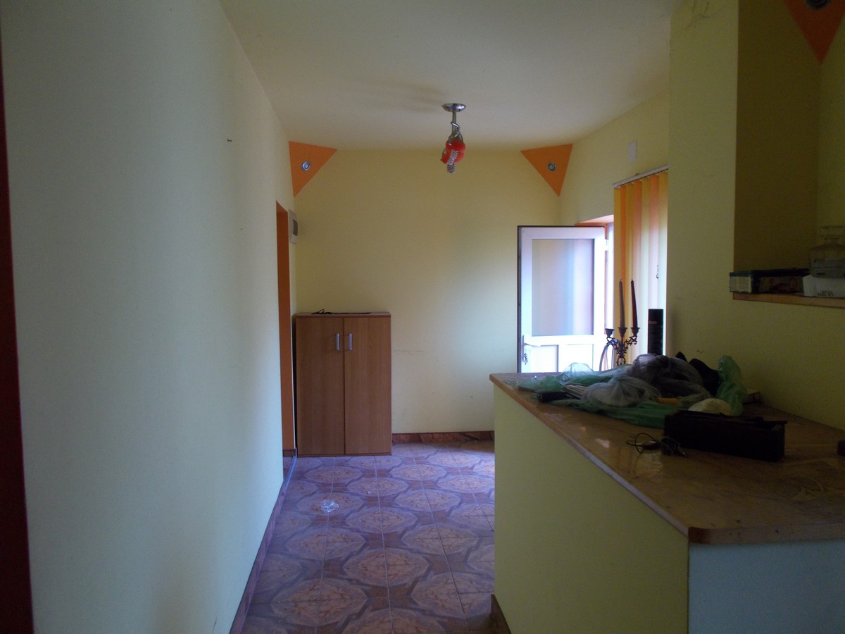 imobiliare timisoara