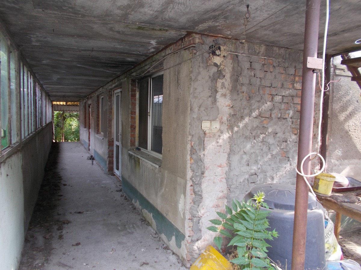 imobiliare timisoara