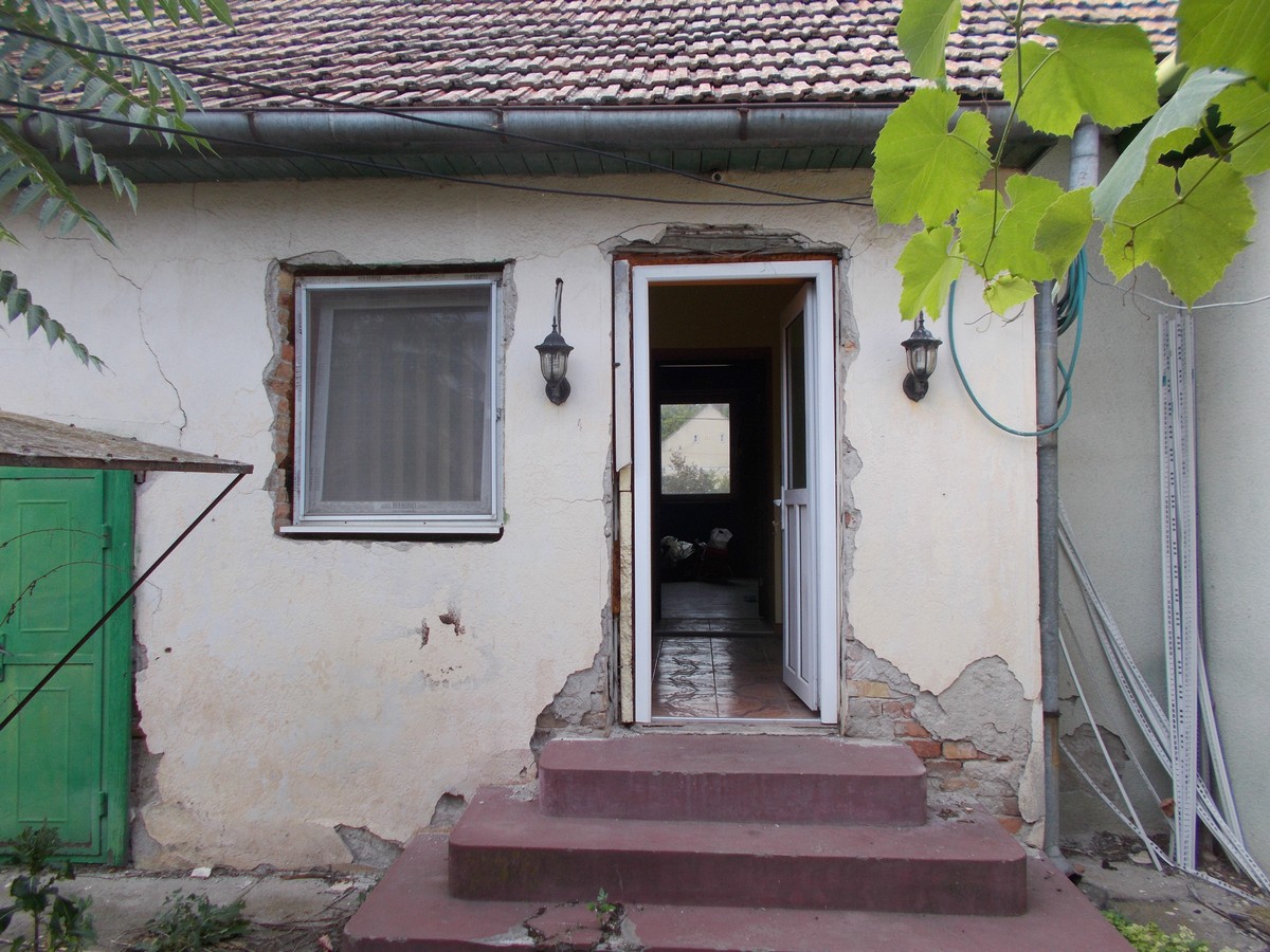 imobiliare timisoara