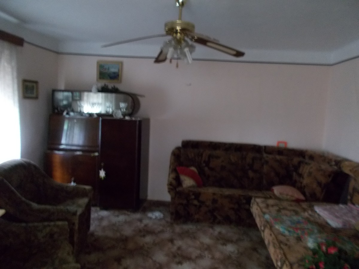 imobiliare timisoara
