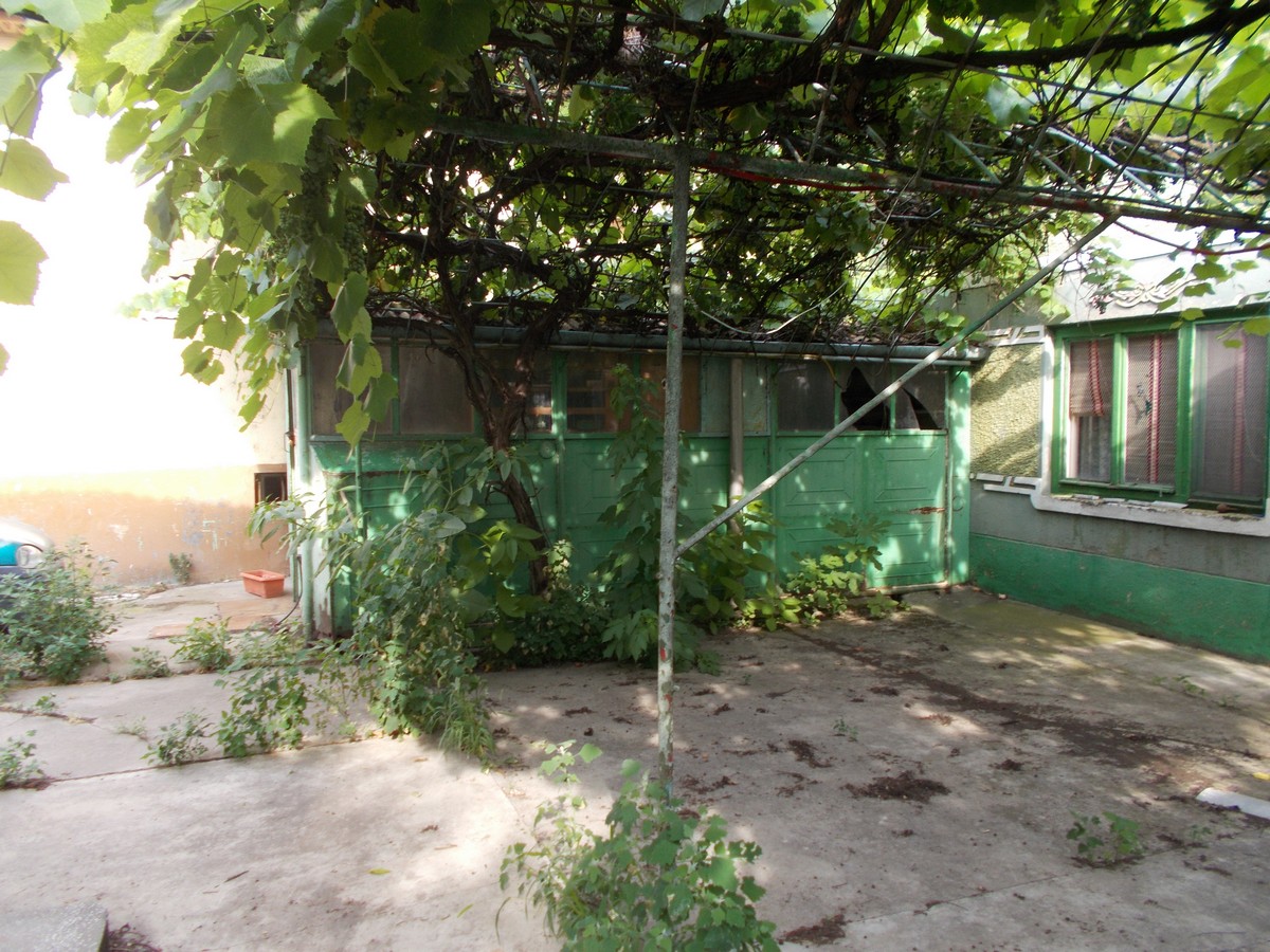 imobiliare timisoara