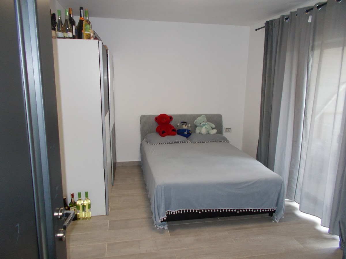 imobiliare timisoara