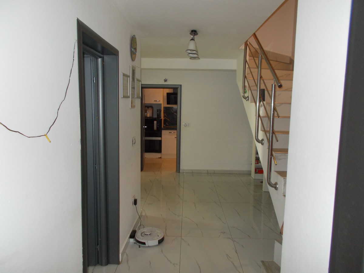 imobiliare timisoara