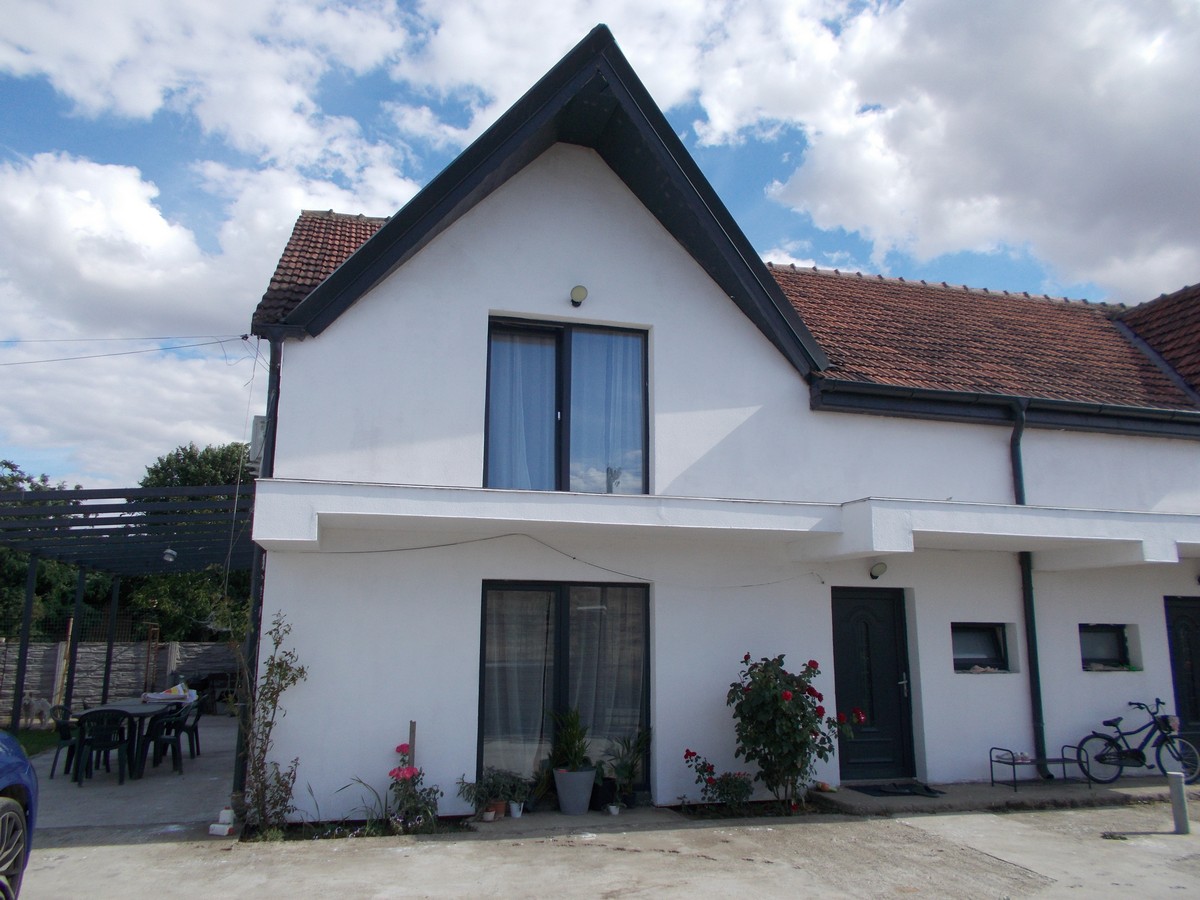 imobiliare timisoara