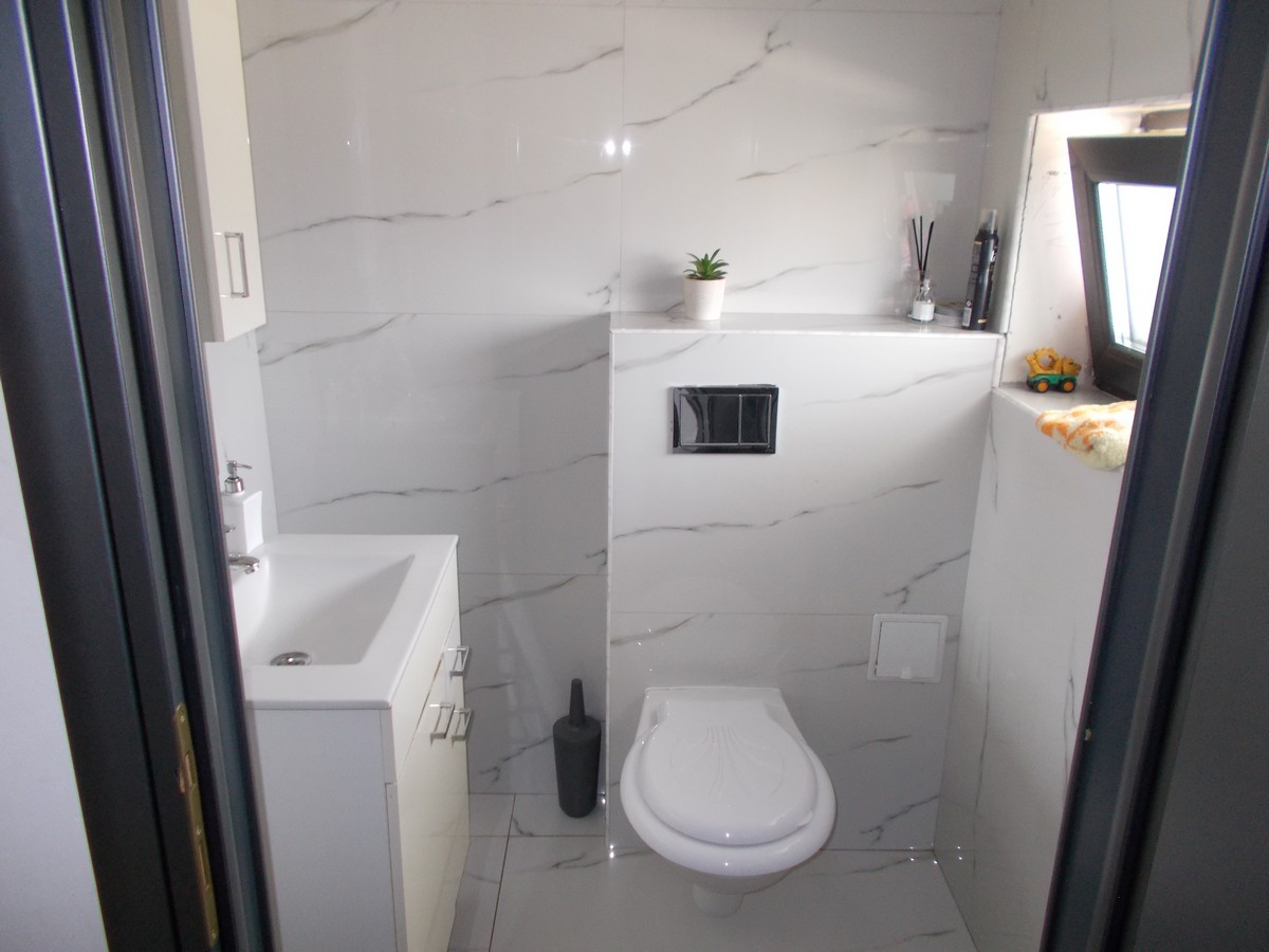 imobiliare timisoara