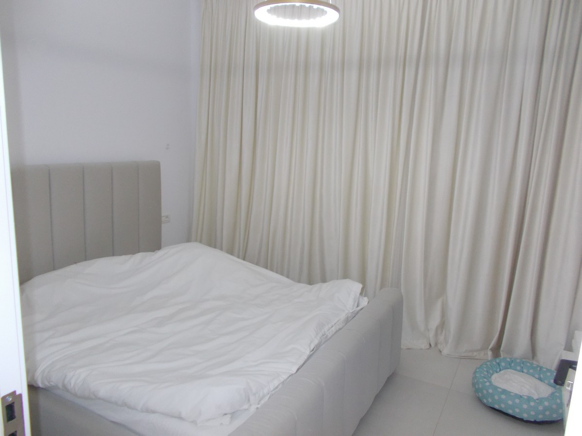 imobiliare timisoara