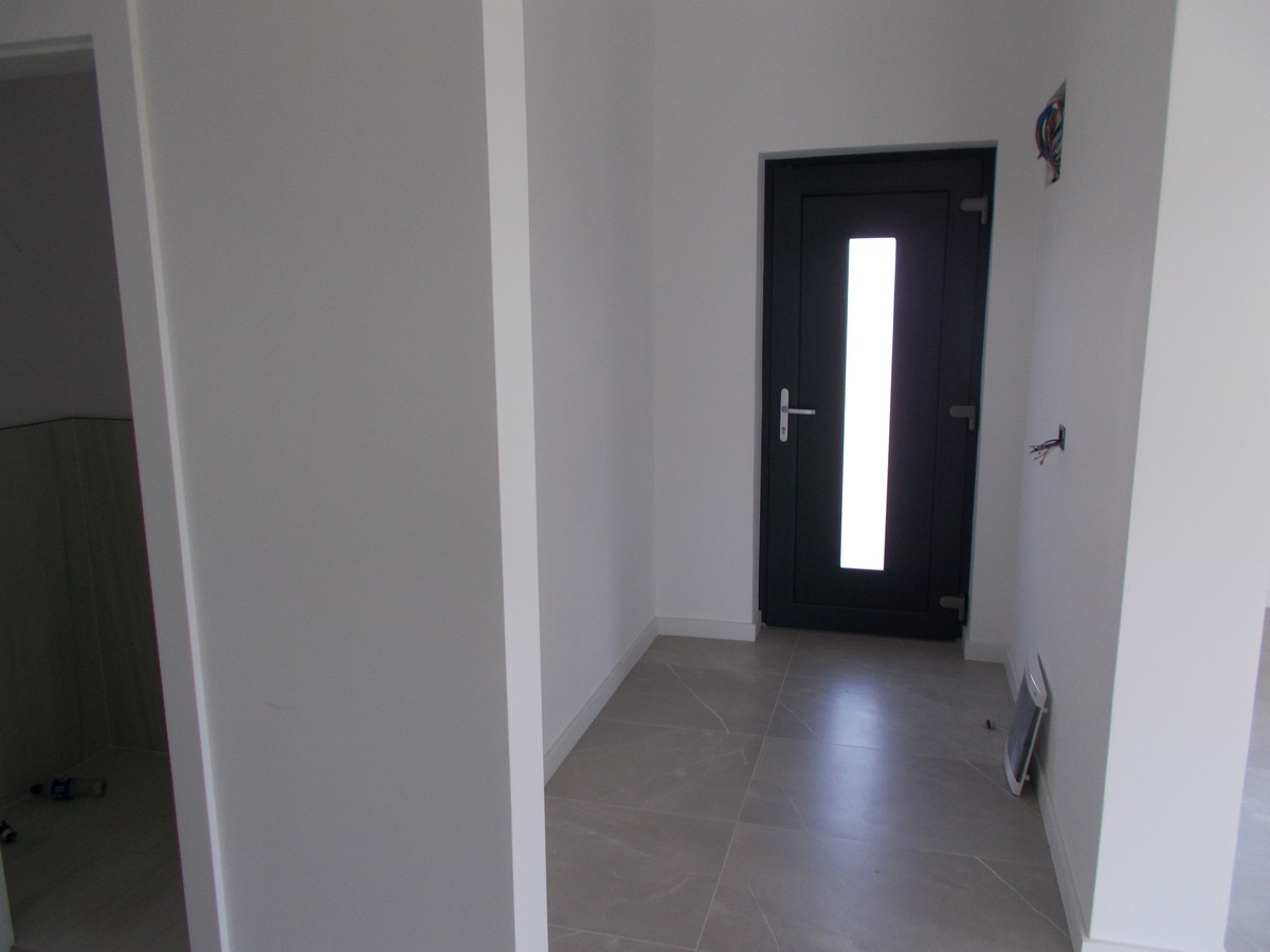 imobiliare timisoara