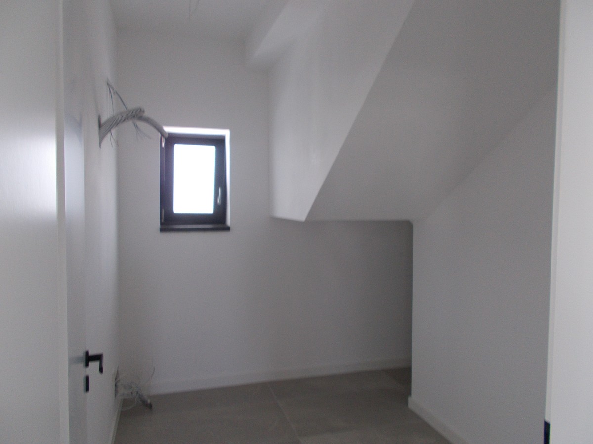 imobiliare timisoara
