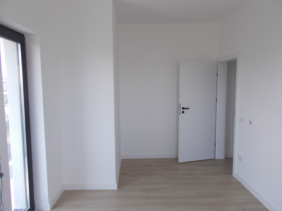 imobiliare timisoara