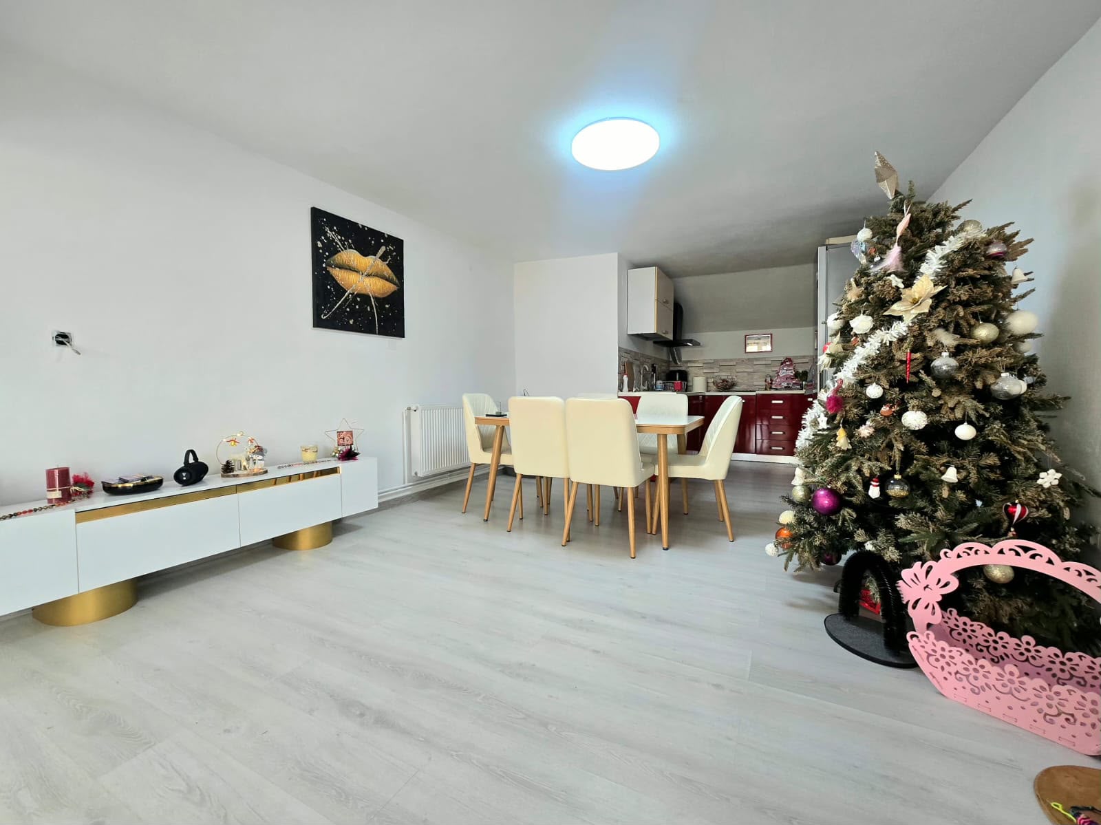 imobiliare timisoara