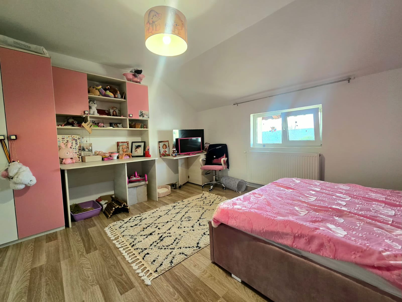 imobiliare timisoara