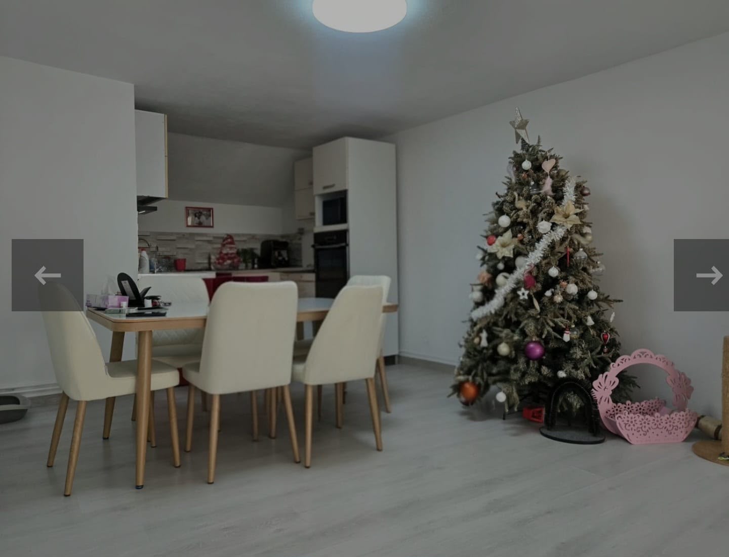 imobiliare timisoara