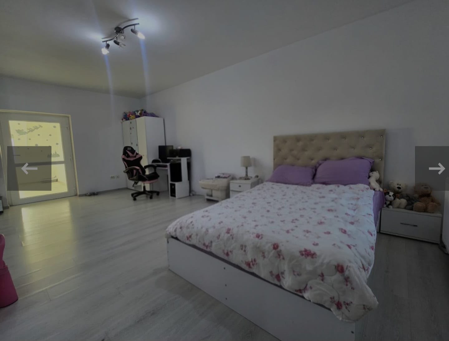 imobiliare timisoara