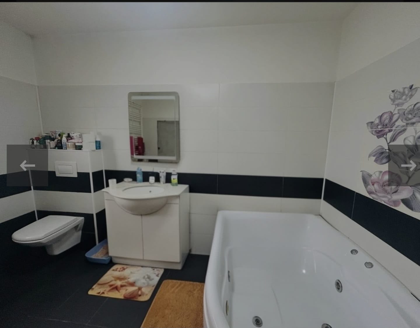 imobiliare timisoara