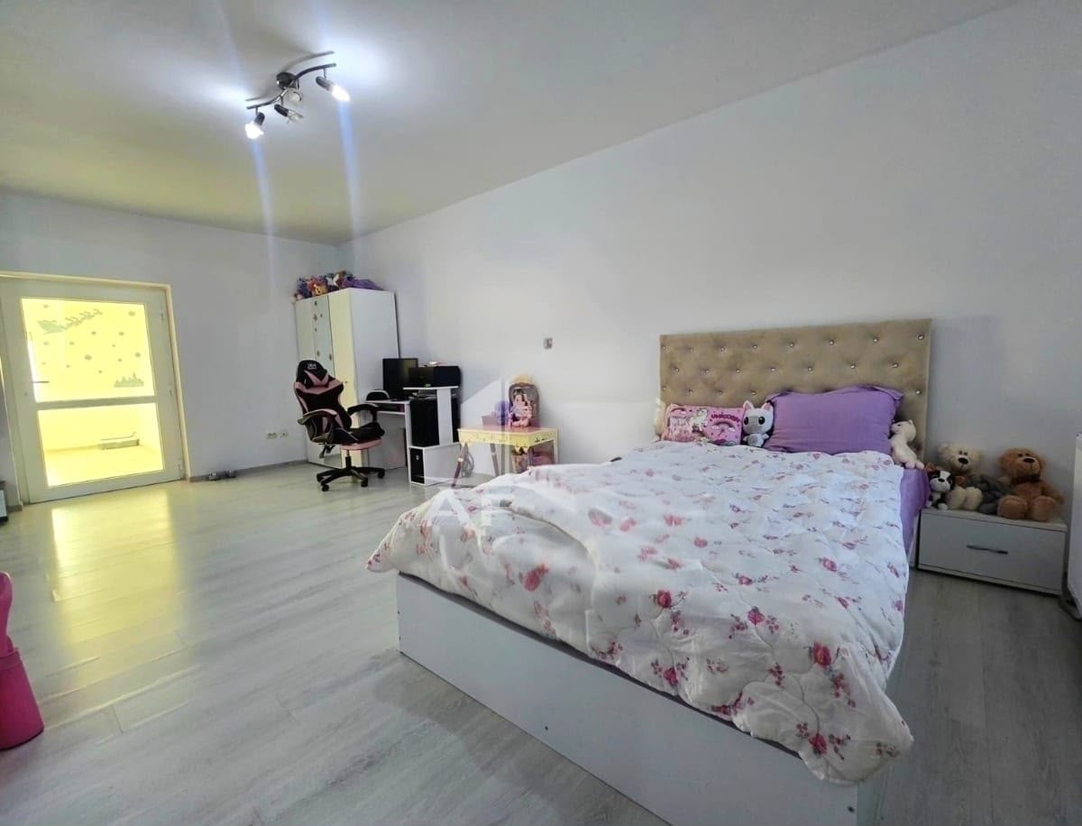 imobiliare timisoara