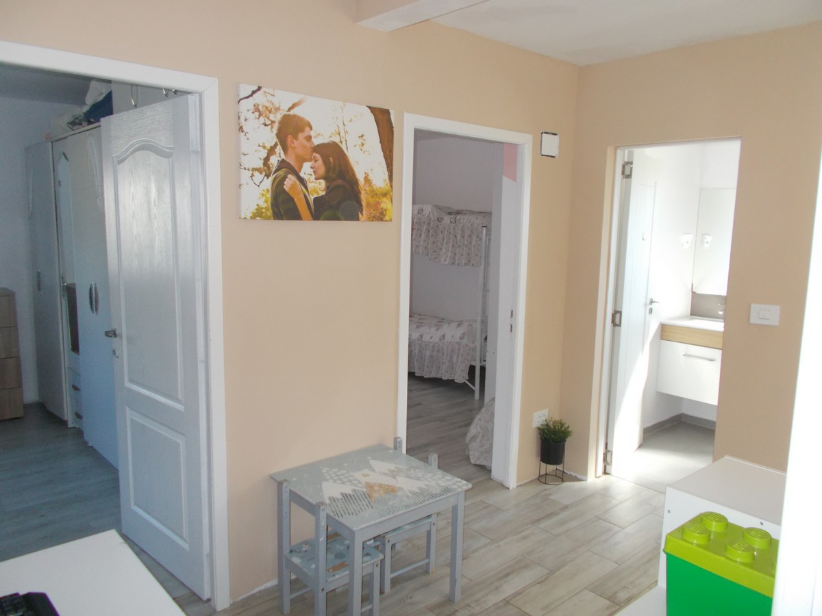 imobiliare timisoara
